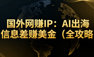 国外网赚IP：AI出海信息差赚美金（全攻略）