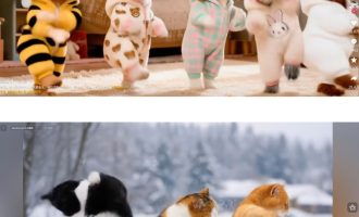 AI赚钱项目：动物魔性跳舞视频制作sop