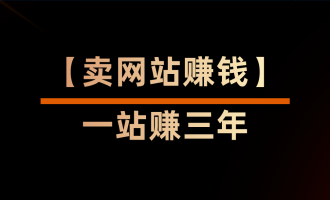 【卖网站赚钱】一站赚三年的运营策略与出售心法